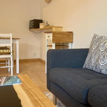 Sully II - Apartment Of 33 Sqm With Parking 400M From Lake Annecy Exterior foto